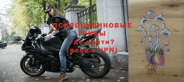 героин Алексин