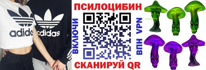 Псилоцибиновые грибы ЛСД  гидра зеркало  Новочеркасск  купить наркотики цена 